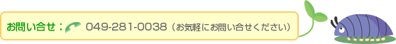 ���₢���킹:TEL049-281-0038�i���C�y�ɂ��₢���킹���������j